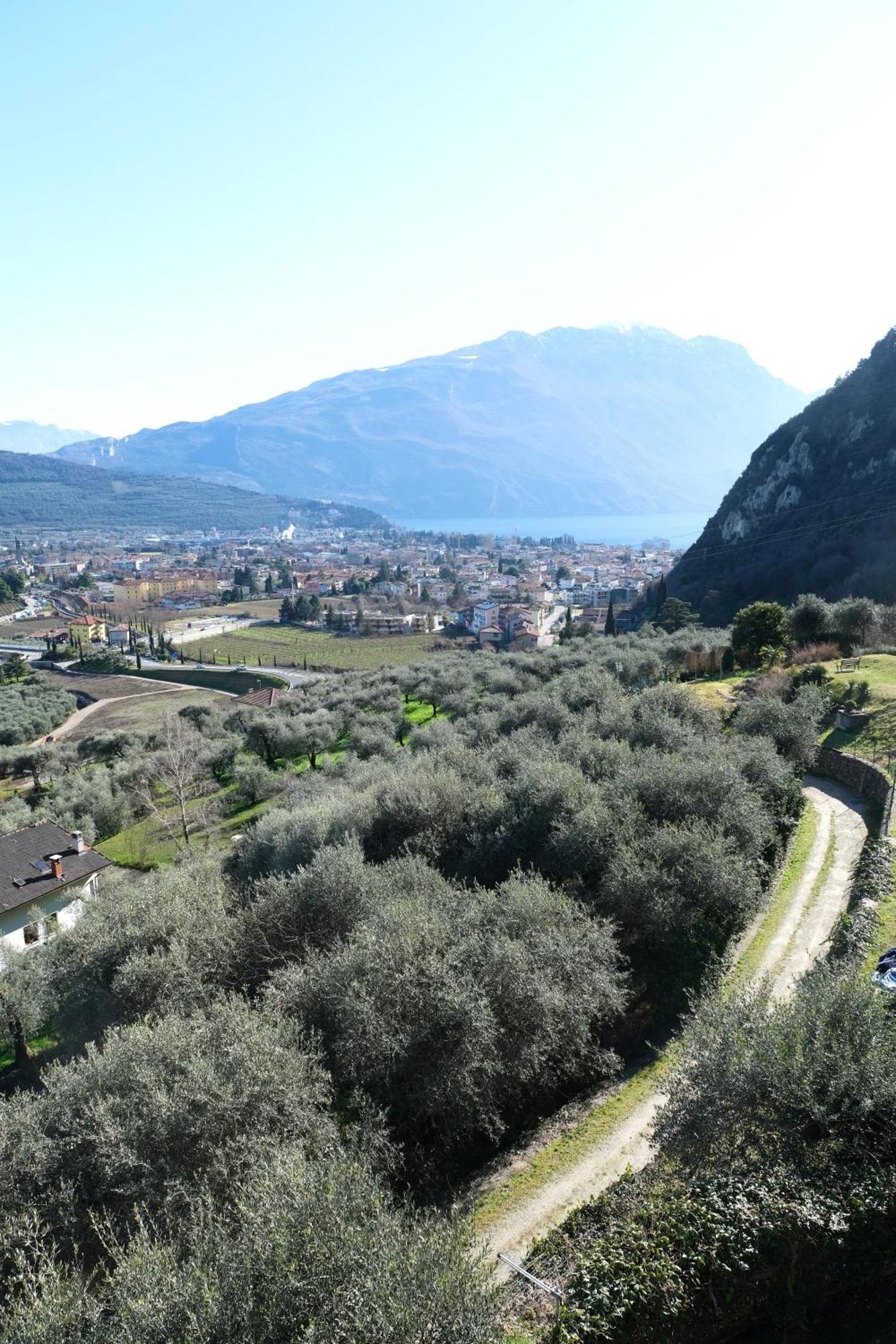 Casa Segantini - Panorama Pool Apartment Gavazzo Nuova Zewnętrze zdjęcie